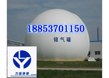 山東濟(jì)寧儲(chǔ)存沼氣工程-雙膜氣柜