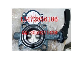 現(xiàn)貨直銷原裝進(jìn)口依博羅Z011-A手動(dòng)蝶閥