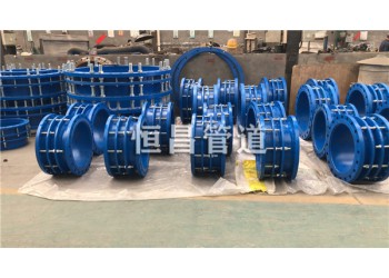 安徽不銹鋼伸縮節(jié)DN300mm價(jià)格