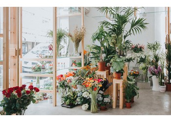 合肥花店裝修要點(diǎn)，網(wǎng)紅花店這樣設(shè)計(jì)，讓你的夢(mèng)想照進(jìn)現(xiàn)實(shí)