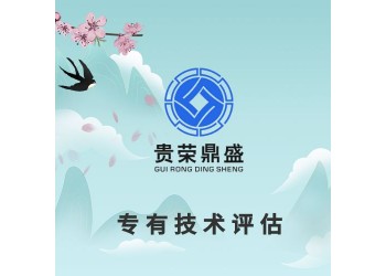 上海市專有技術(shù)評估無形資產(chǎn)評估專利評估機(jī)構(gòu)