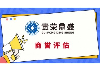 泉州市商譽(yù)價(jià)值評估無形資產(chǎn)評估專利商標(biāo)軟著評估