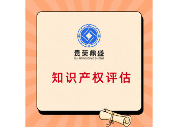 阜陽市專利實(shí)繳評估知識(shí)產(chǎn)權(quán)評估商標(biāo)出資評估軟著價(jià)值評估