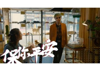 電影《保你平安》投資5W能賺多少？怎么個人投資？