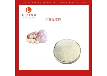 大蒜提取物大蒜素1%價格 大蒜粉供應